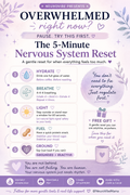 NeuroVibe 5-Minute Reset (Free) NeuroVibe Shop