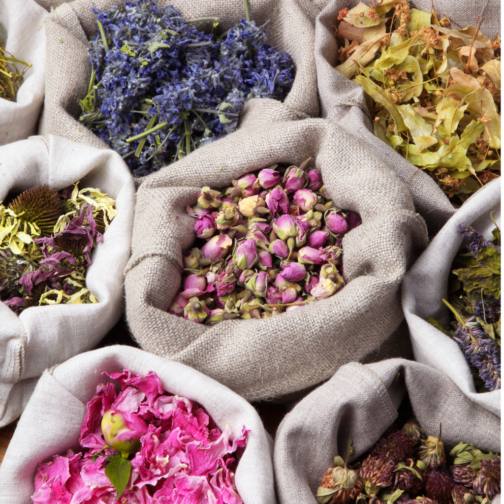 Yoni Steam Detox TS Skin Company