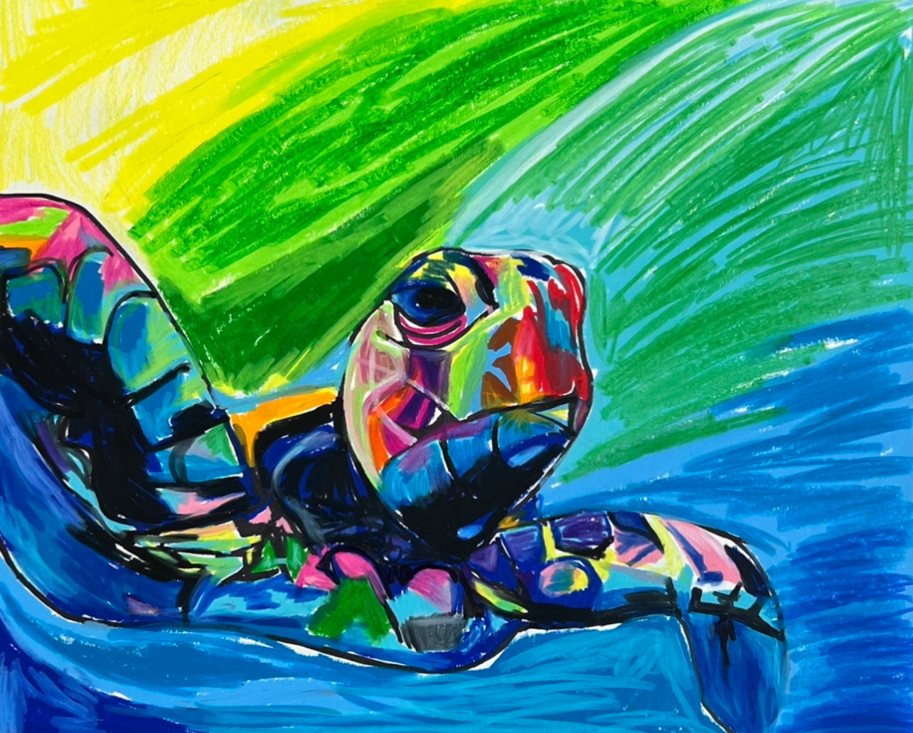 Colorful Turtle - Art Prints Vichy's Art