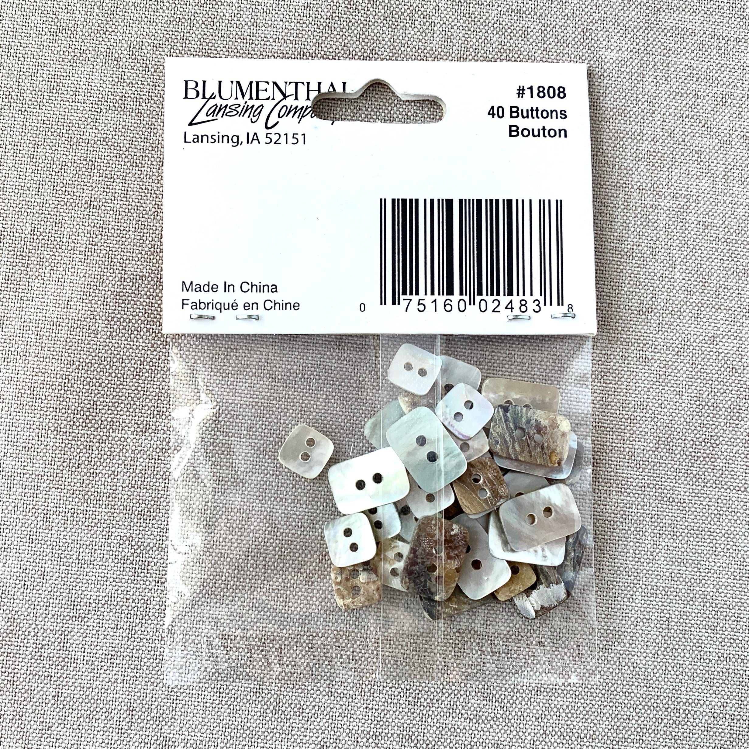 1808 Shell - Shellz - 2 Holes - Assorted Sizes - Natural The Attic Exchange