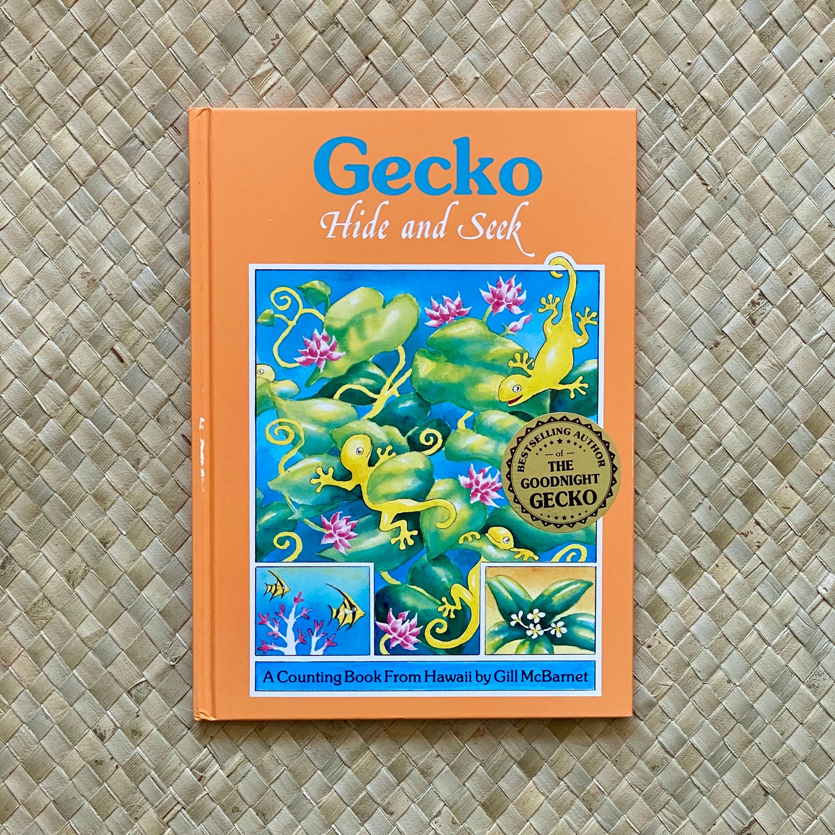 Gecko Hide and Seek Hawaiian Children's Books by Gill McBarnet