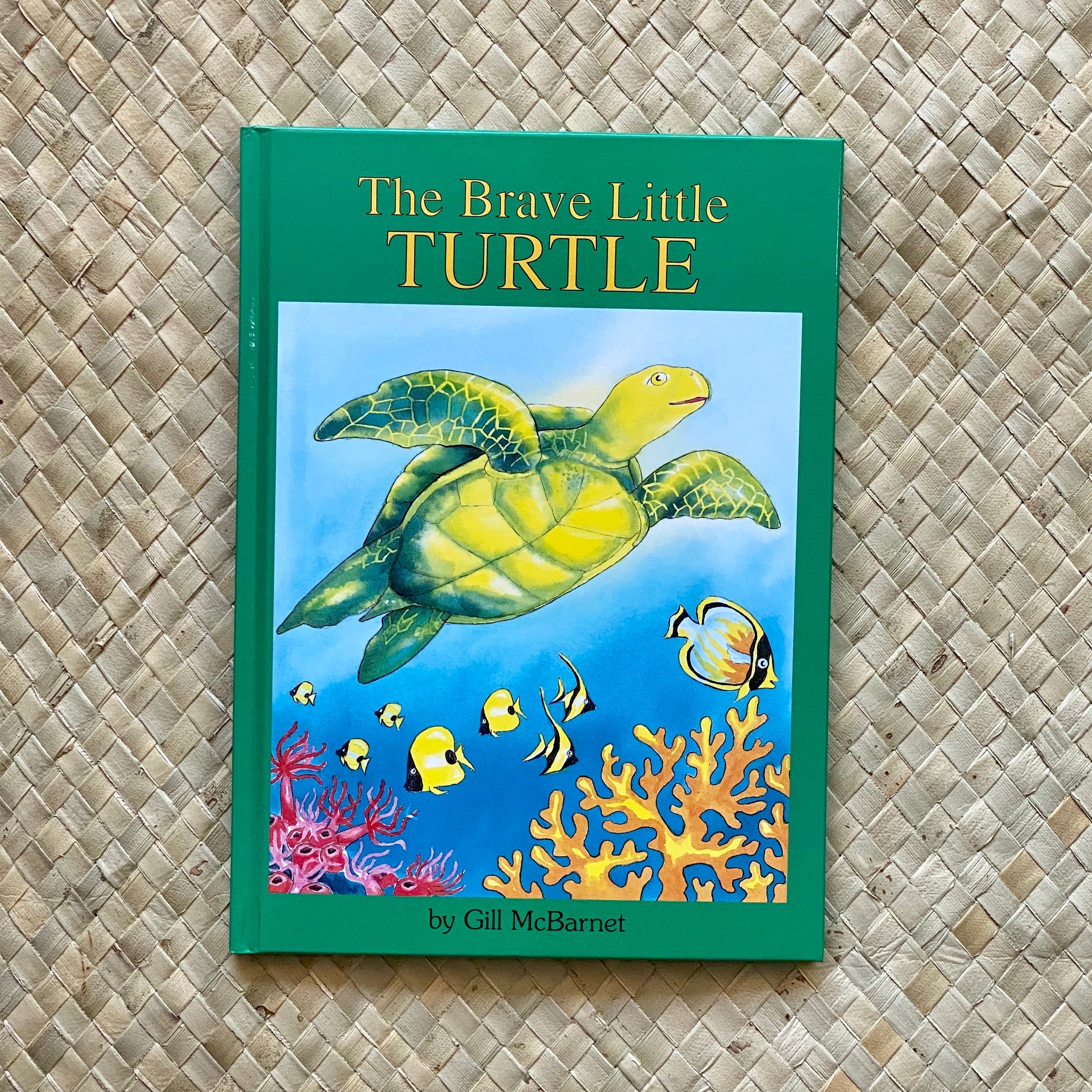 The Brave Little Turtle Hawaiian Children's Books by Gill McBarnet