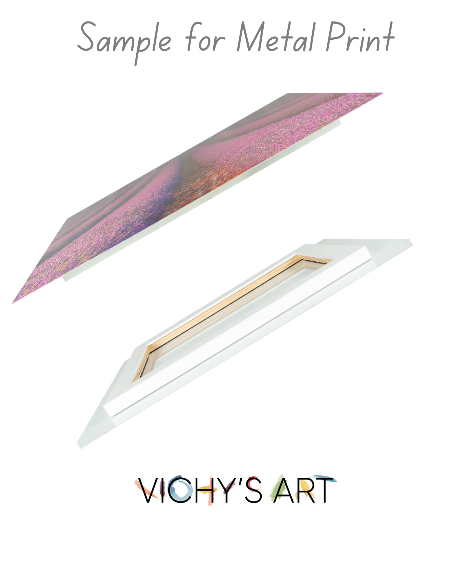 Meerkat - Art Prints Vichy's Art