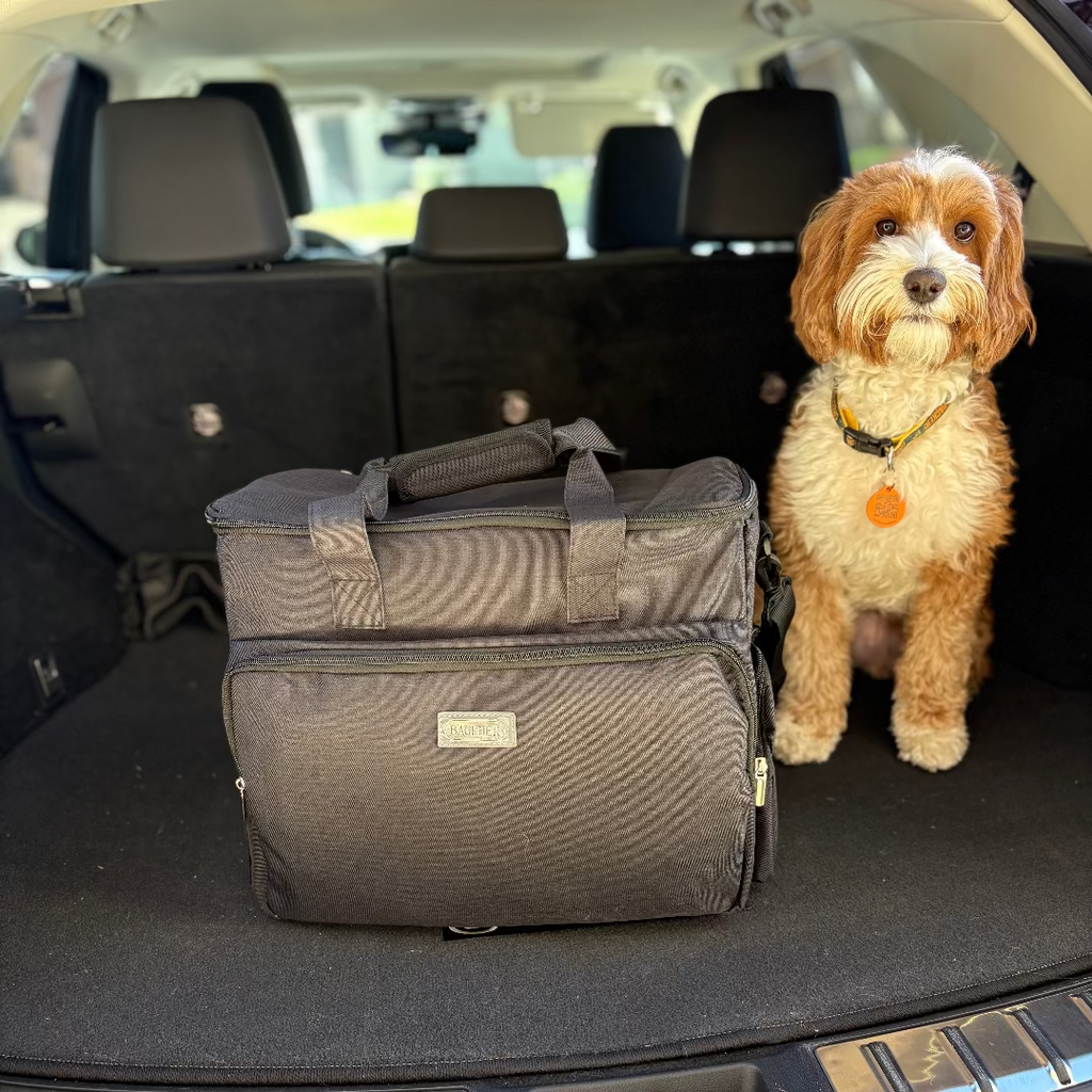 The Safe Pet Kit: Must-Have Pet Kit for Disaster Situations Entropy Survival