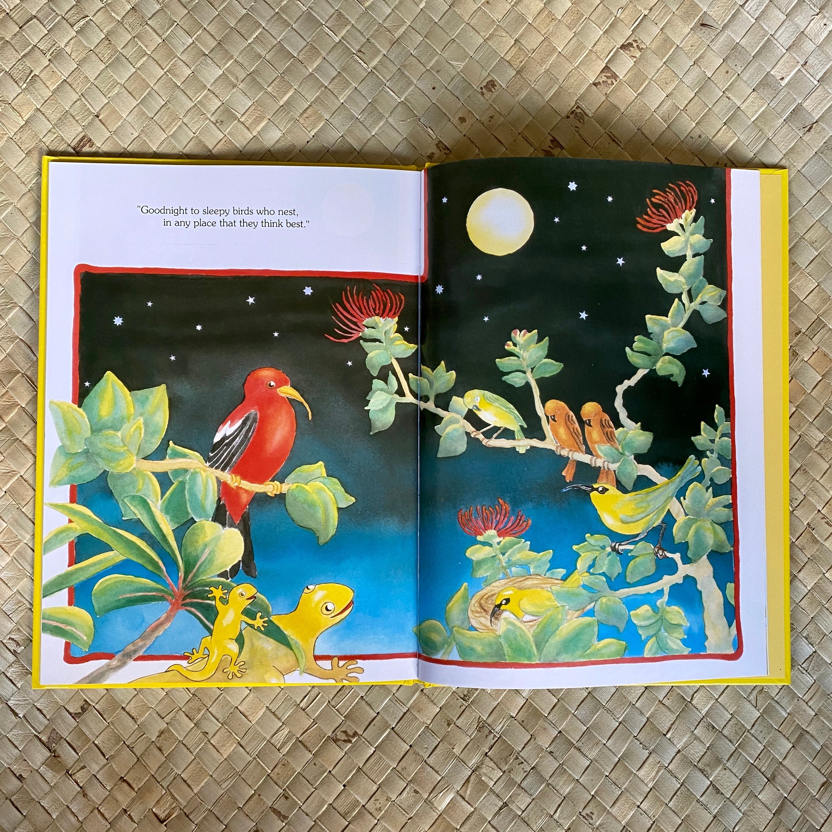 The Goodnight Gecko Hawaiian Children's Books by Gill McBarnet