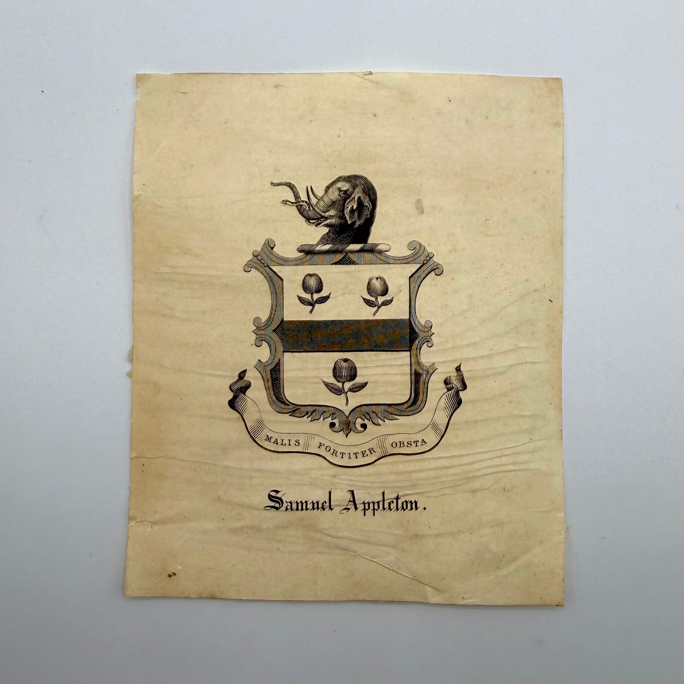 The Scarlet Letter — First Edition, First Printing (1850) Nathaniel Hawthorne With Samuel Appleton Provenance • Custom Clamshell Case Cedar Leaf Books