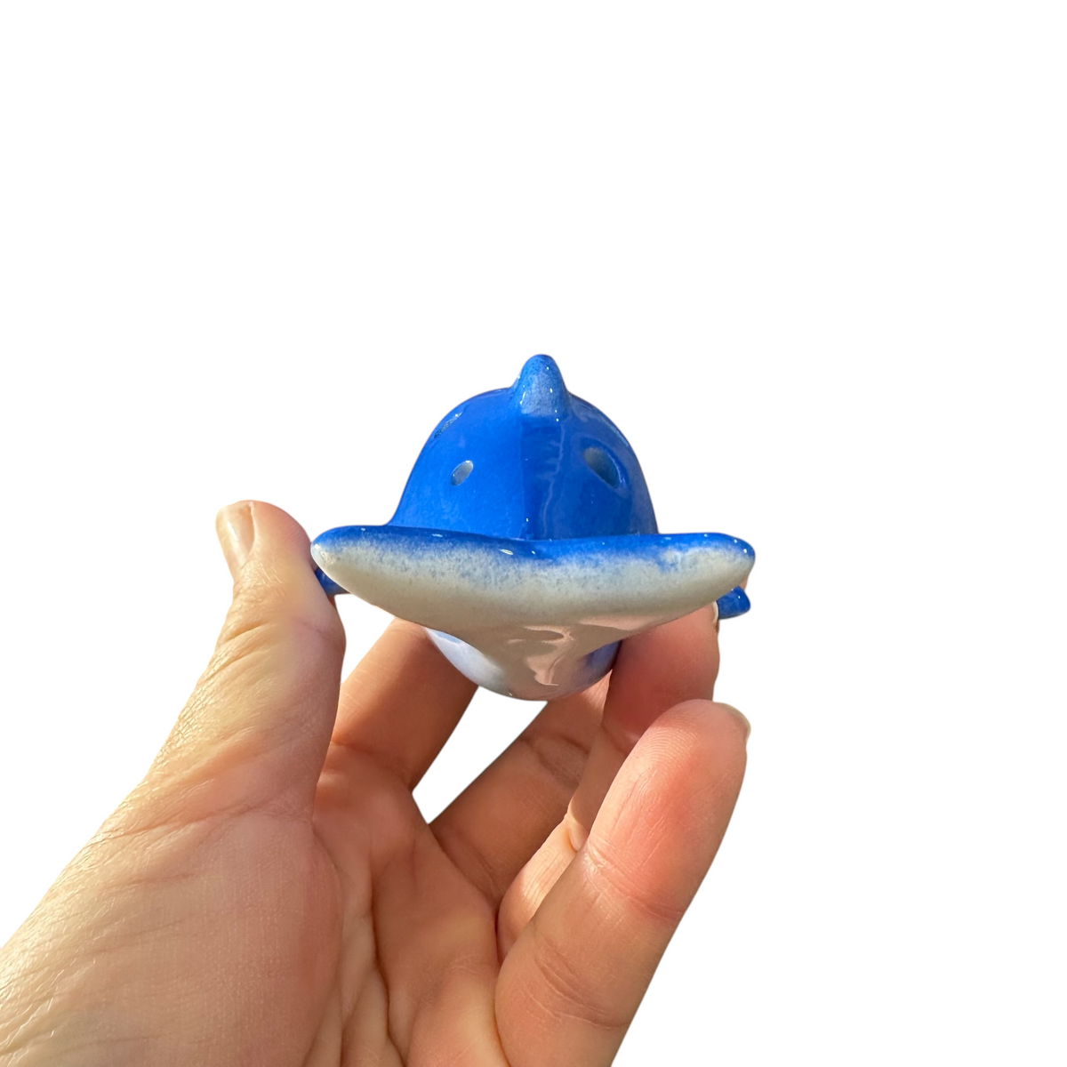 Ceramic Dolphin Ocarina Ocean Blue Music Frog Co