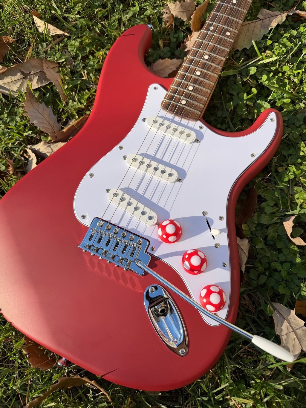 Mushroom Guitar Knob Twist Tone