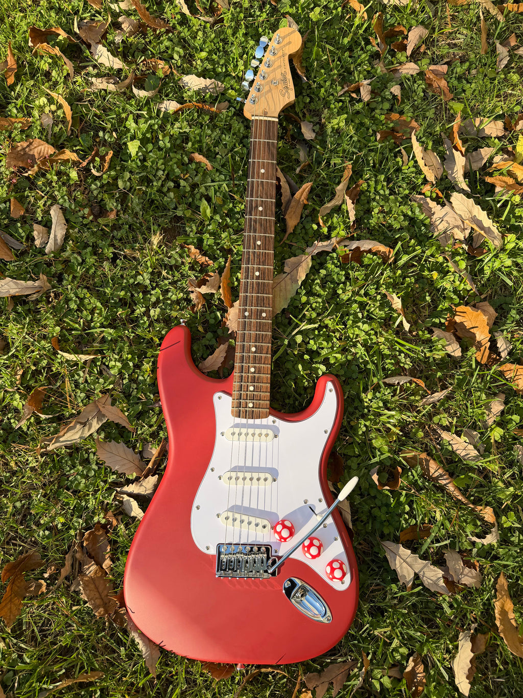 Mushroom Guitar Knob Twist Tone