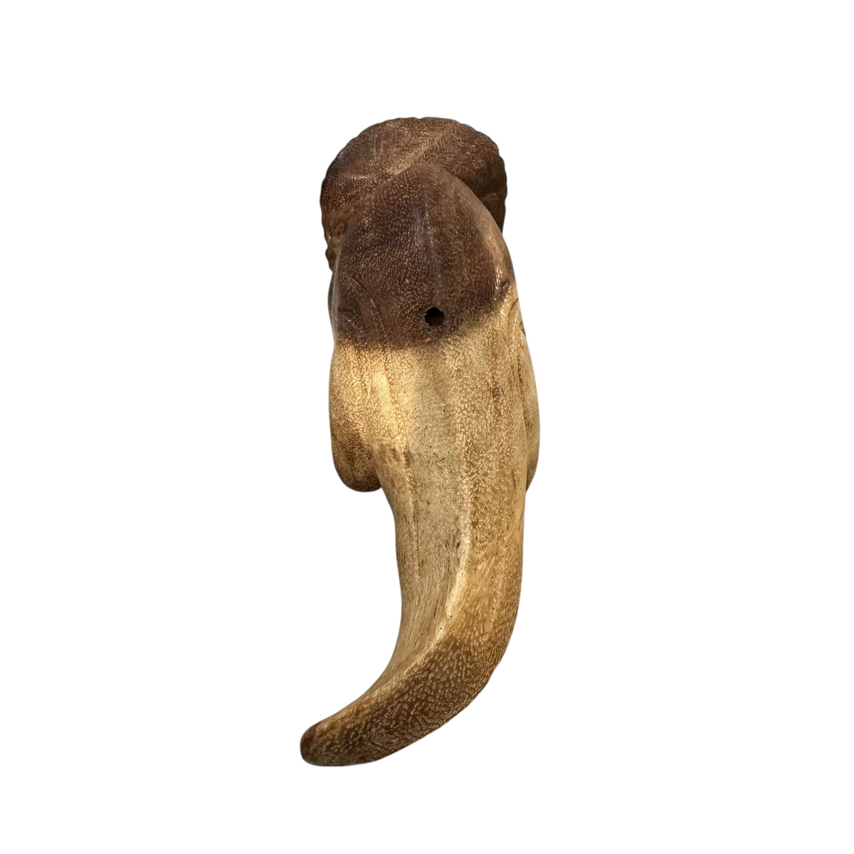 Wooden Musical Tri Dinosaur Whistle Instrument Music Frog Co