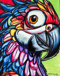 Colorful Parrot - Art Prints Vichy's Art