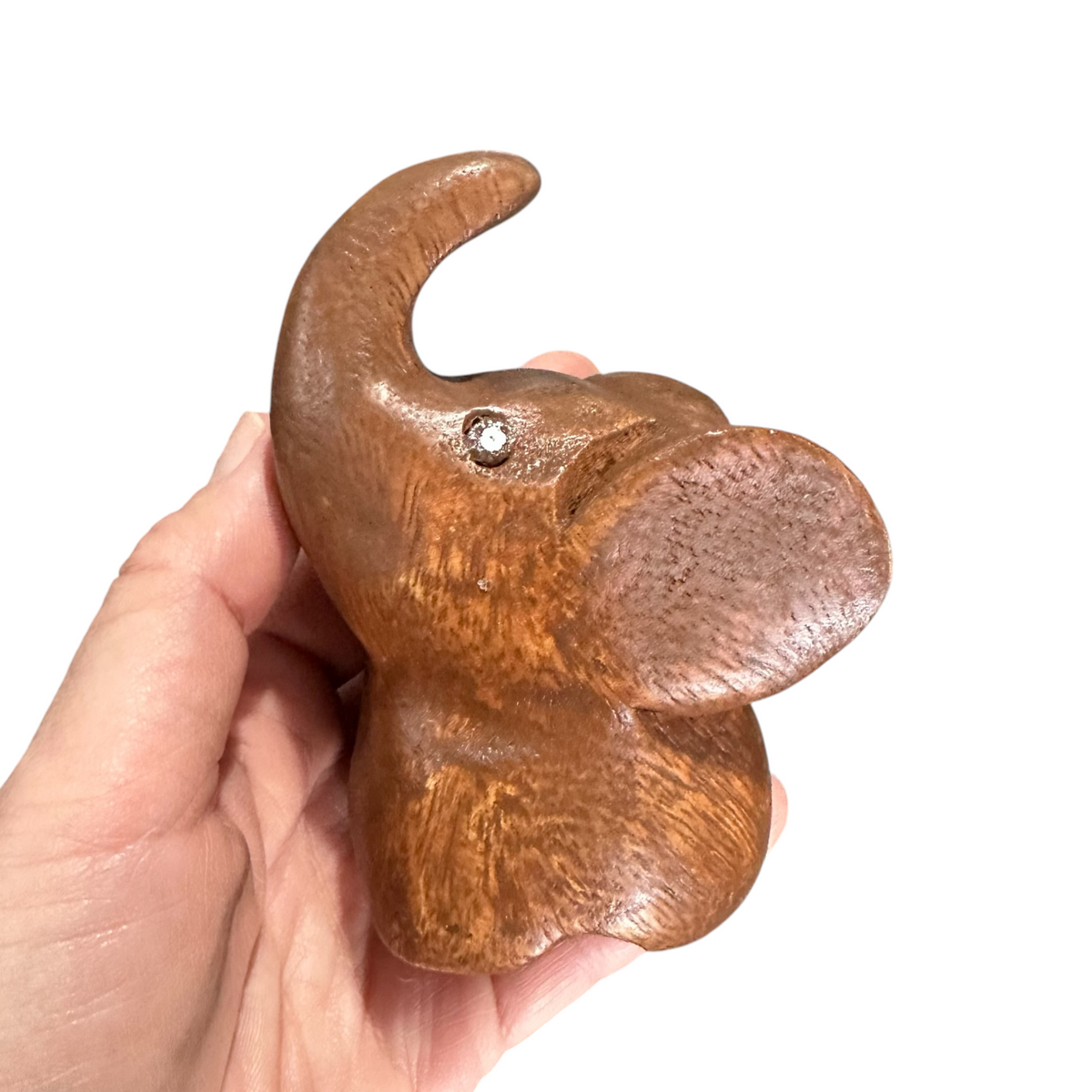 Dark Oak Elephant Butterfly ears Music Frog Co
