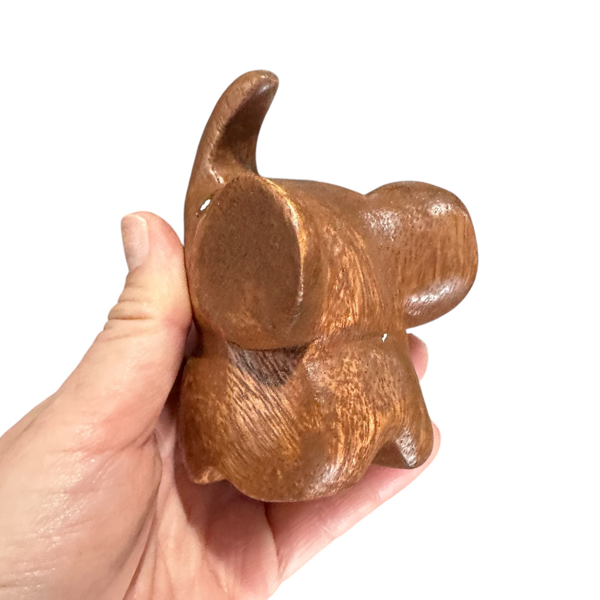 Dark Oak Elephant Butterfly ears Music Frog Co
