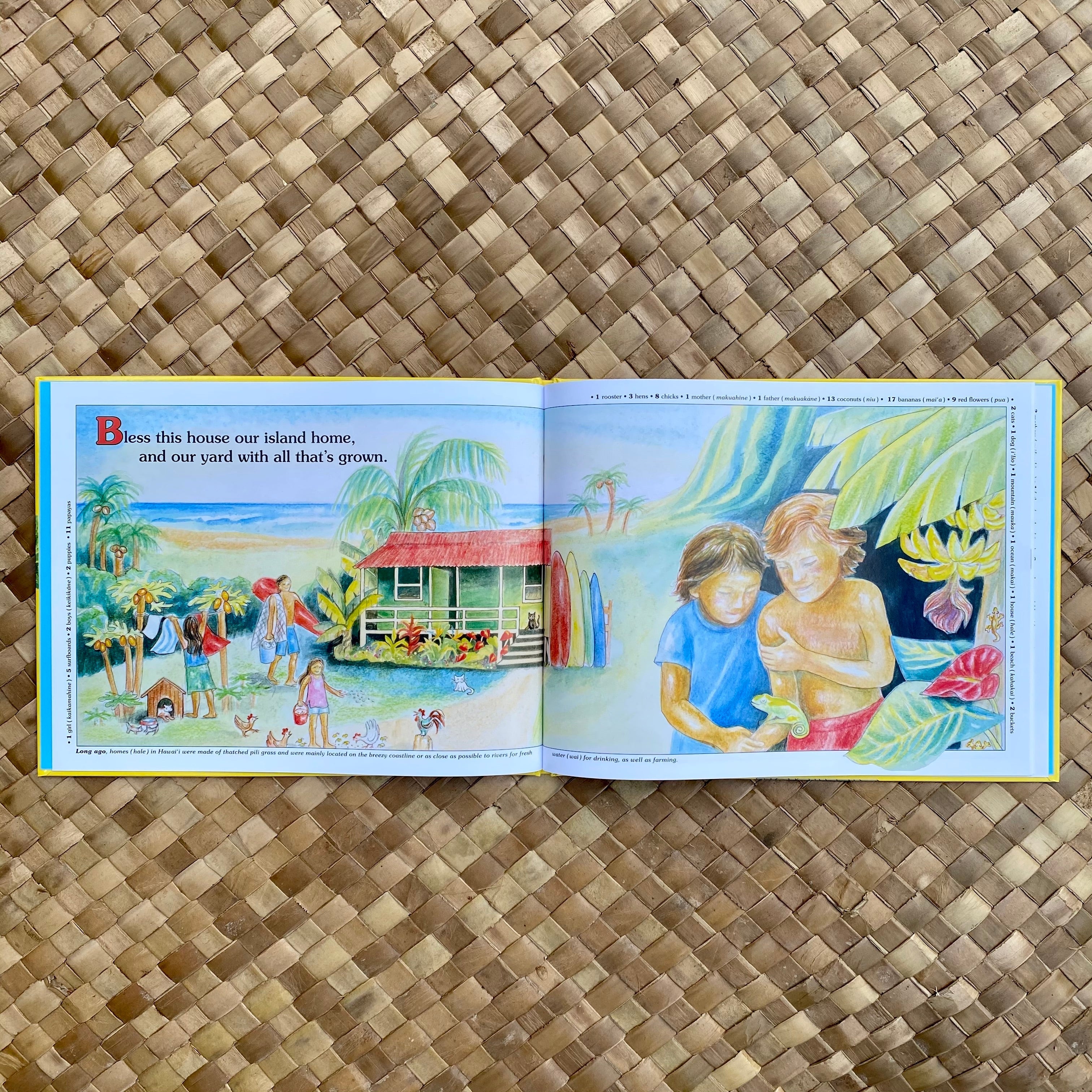 Our Island Home Hawaiian Children's Books by Gill McBarnet