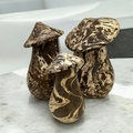 Mystic Grove Hand-Carved Wooden Mushroom Decor Set Music Frog Co