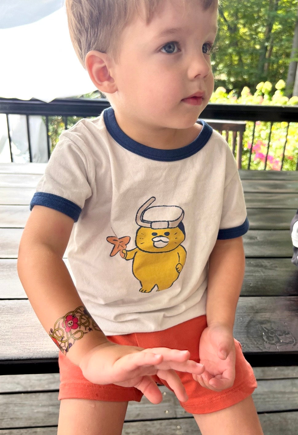 Jack-O: Set of 2 Tony Ray