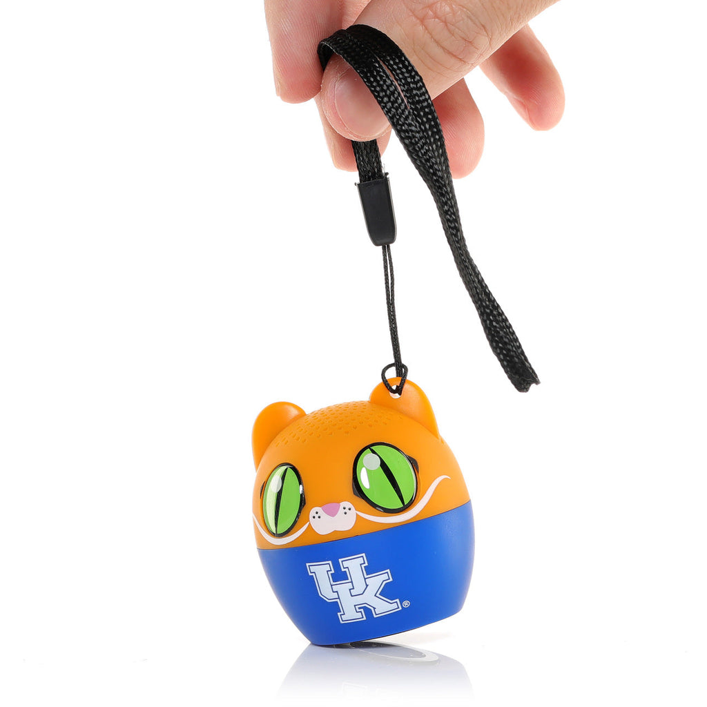 Kentucky Wildcats Bitty Boomers