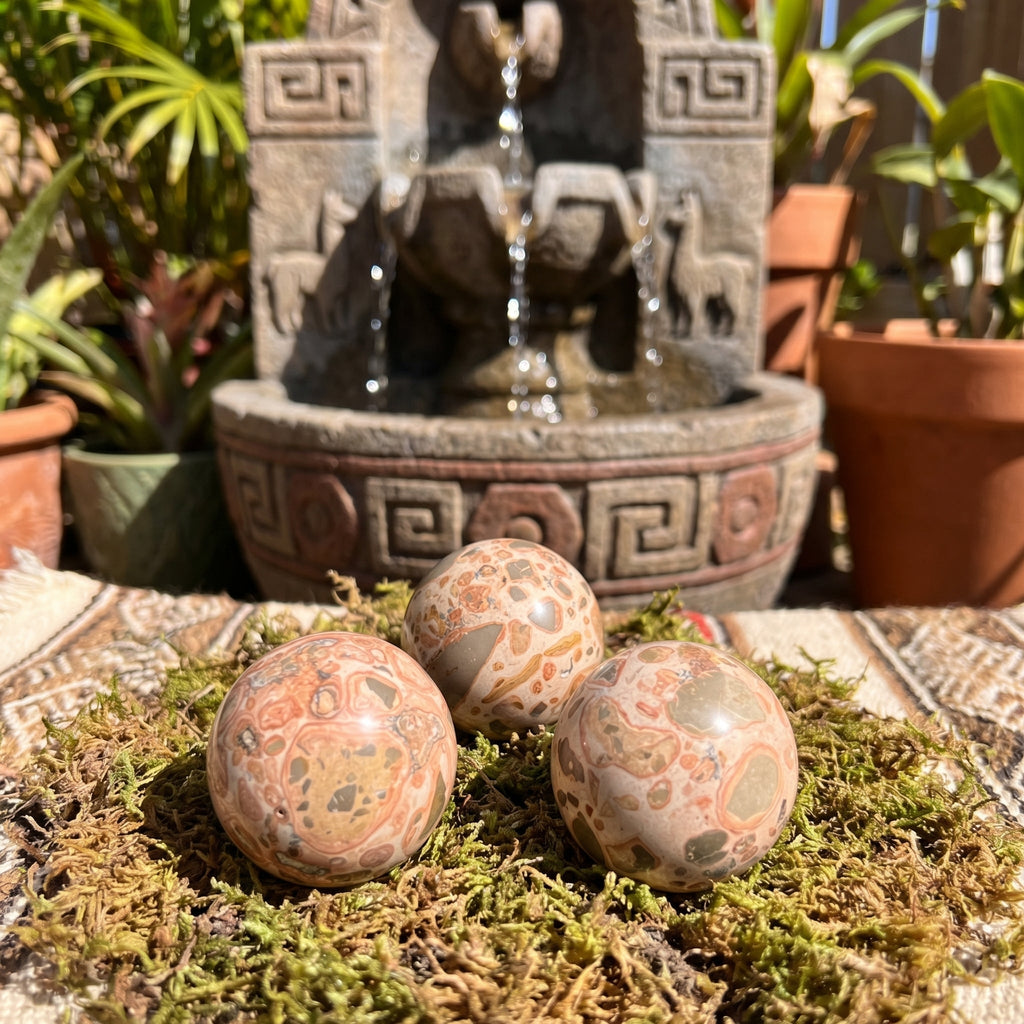 Leopardite Sphere Carving (1.5 Inch)(Leopard Skin Jasper) Amazing Crystals