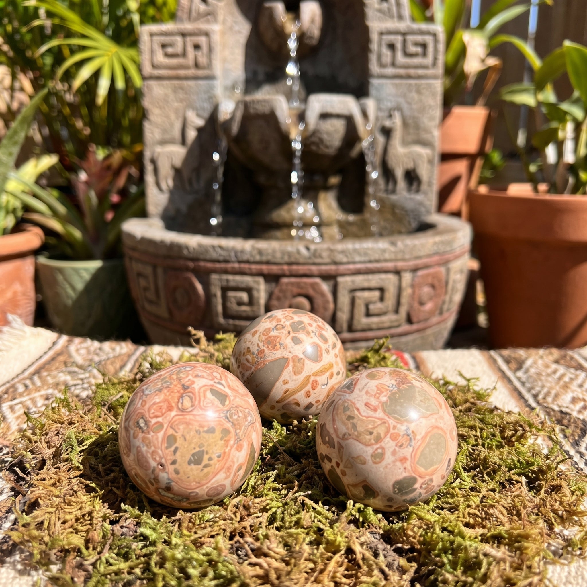 Leopardite Sphere Carving (1.5 Inch)(Leopard Skin Jasper) Amazing Crystals