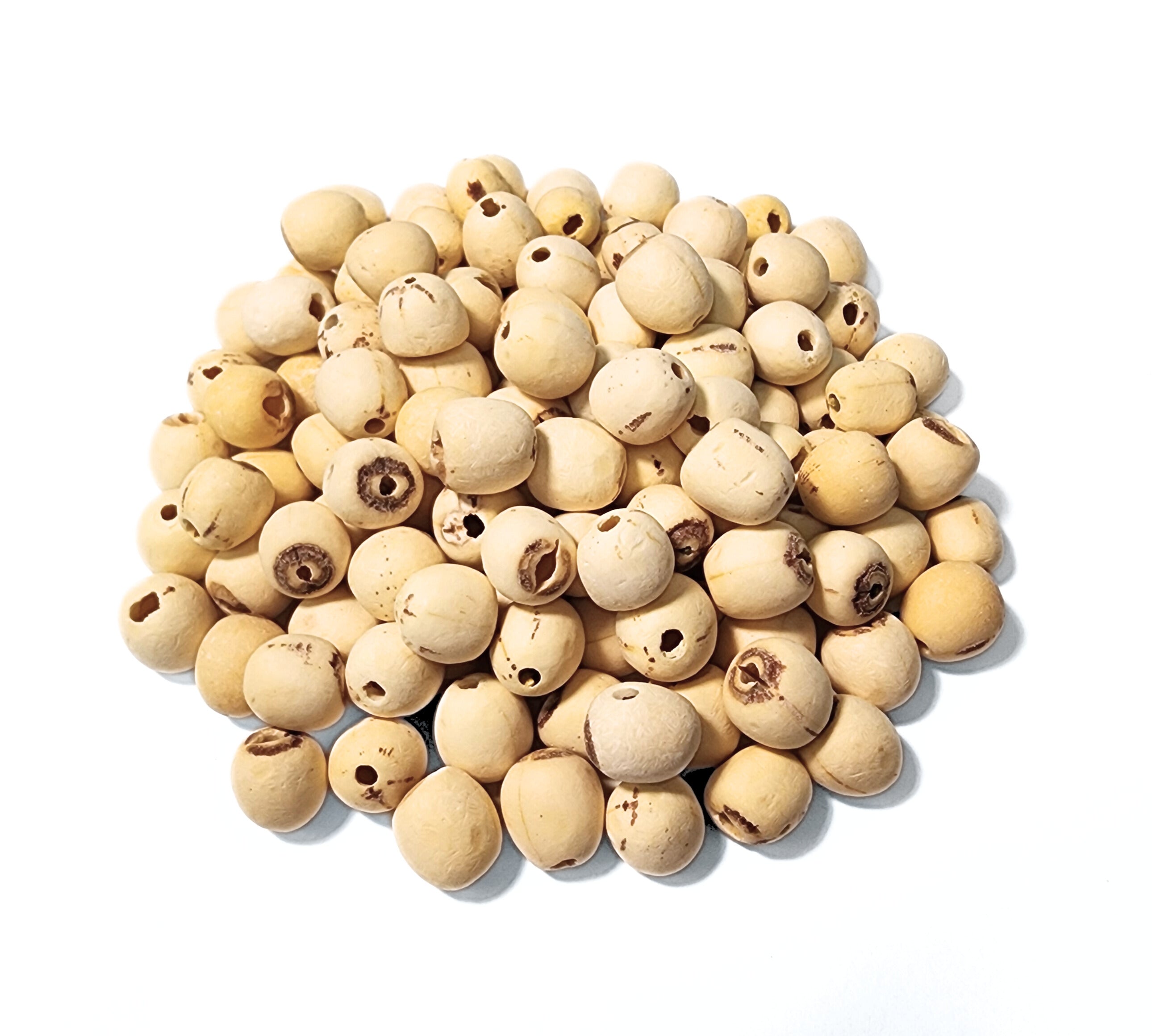 Lotus Seed - Nelumbinis nucifera Semen - Lian Zi - ND Grade Clear Source Herbs