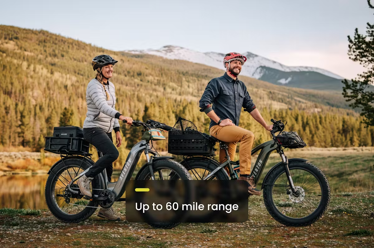 Aventon AVENTURE.2 All Terrain Step-Thru E-Bike Rex E-Bikes