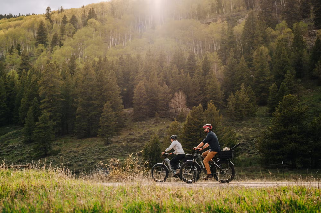 Aventon AVENTURE.2 All Terrain Step-Thru E-Bike Rex E-Bikes