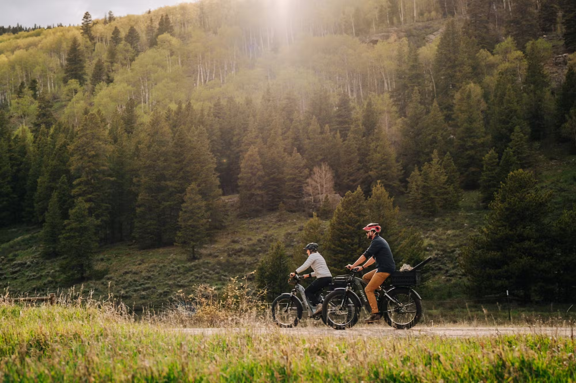 Aventon AVENTURE.2 All Terrain Step-Thru E-Bike Rex E-Bikes