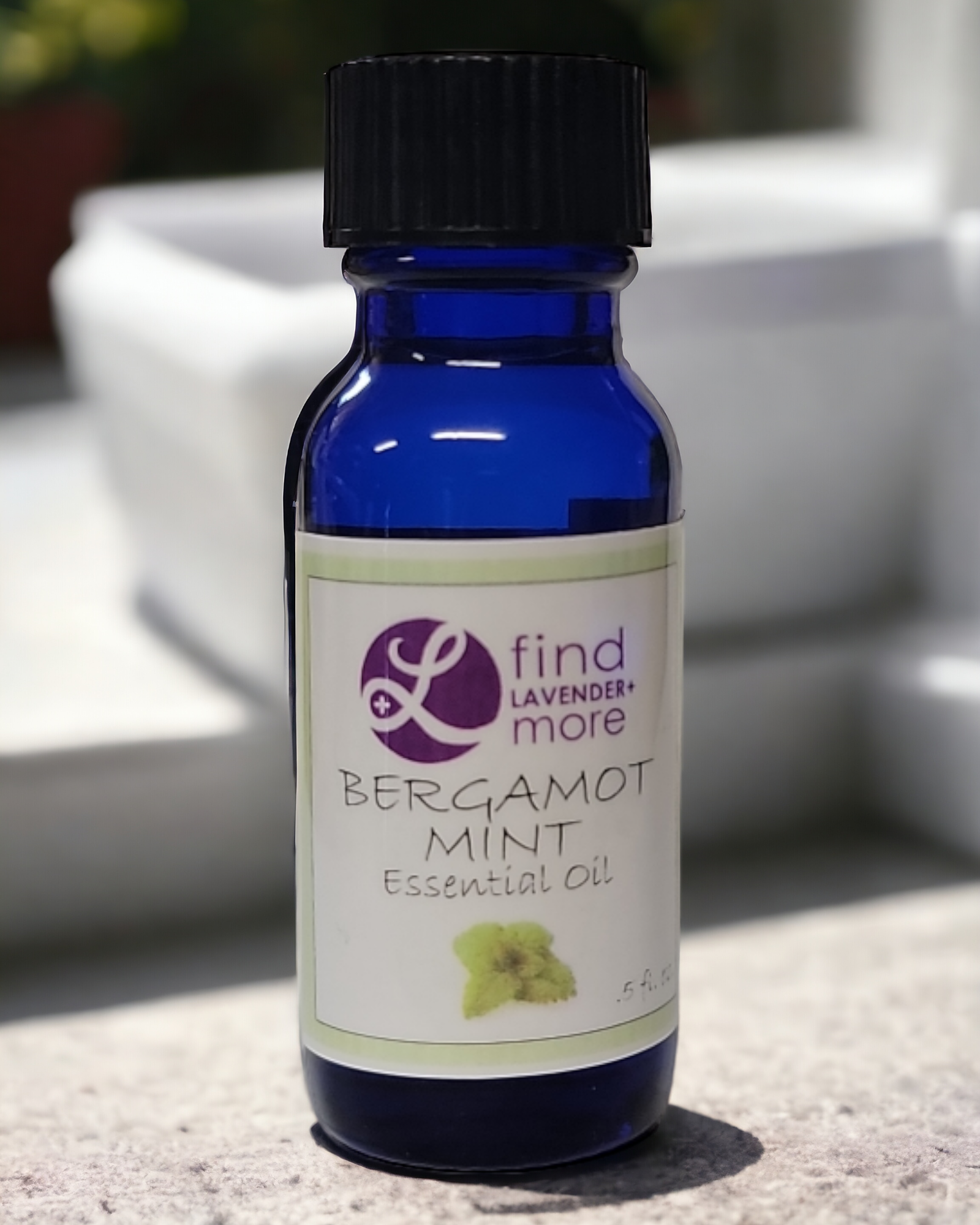 Lavender Essential Oil Pure Therapeutic Grade Aromatherapy 10ml Findlavender.com