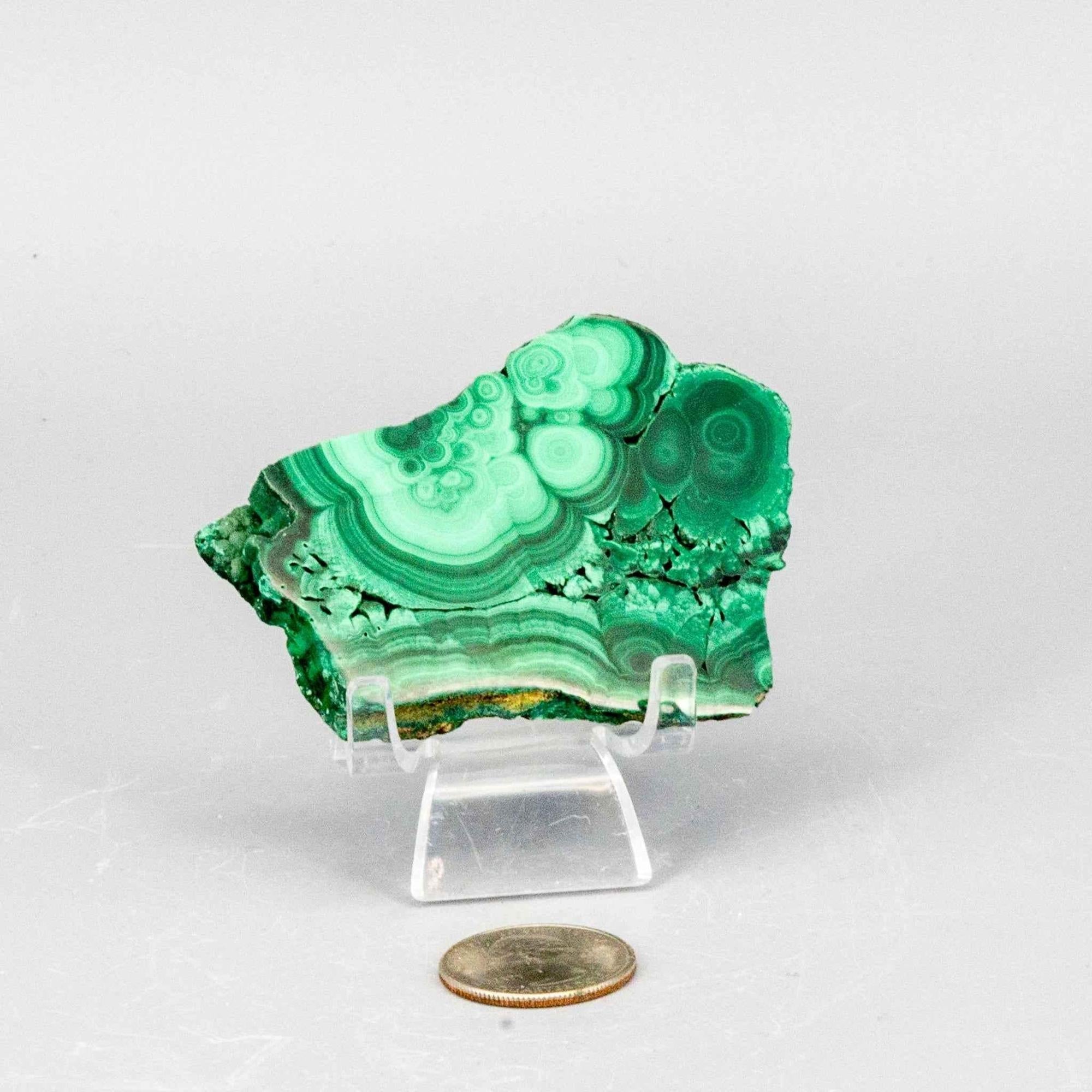 Malachite Crystal Polished Slice Natural Green Banding