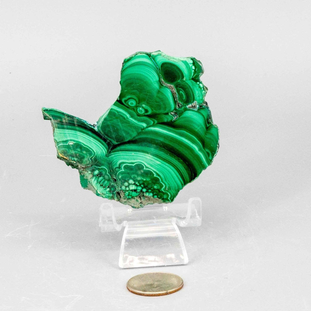 Malachite Crystal Polished Slice Natural Green Banding