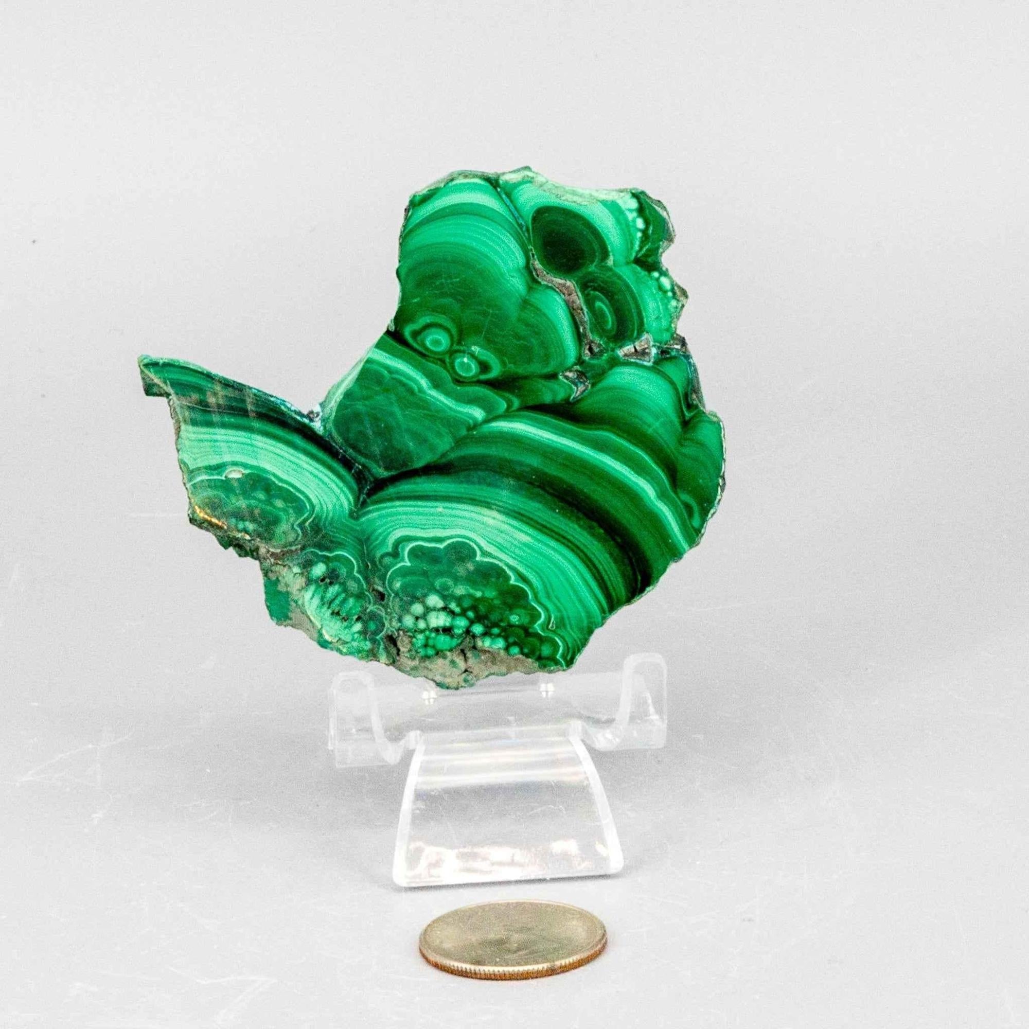 Malachite Crystal Polished Slice Natural Green Banding