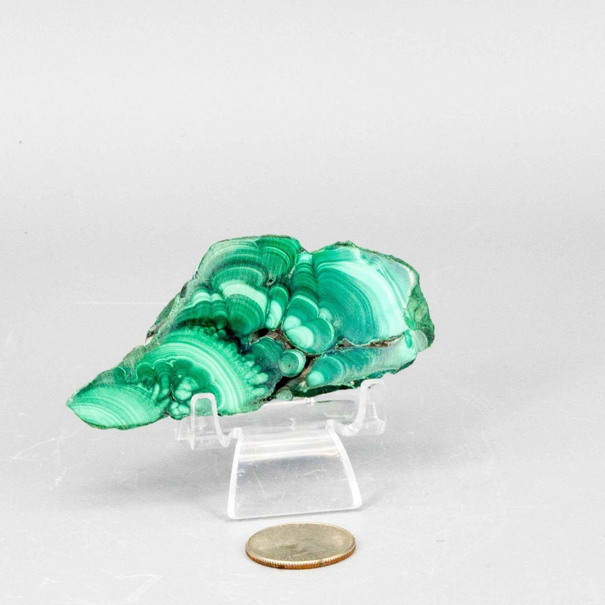 Malachite Slices, Polished Healing Stone Crystal Destiny