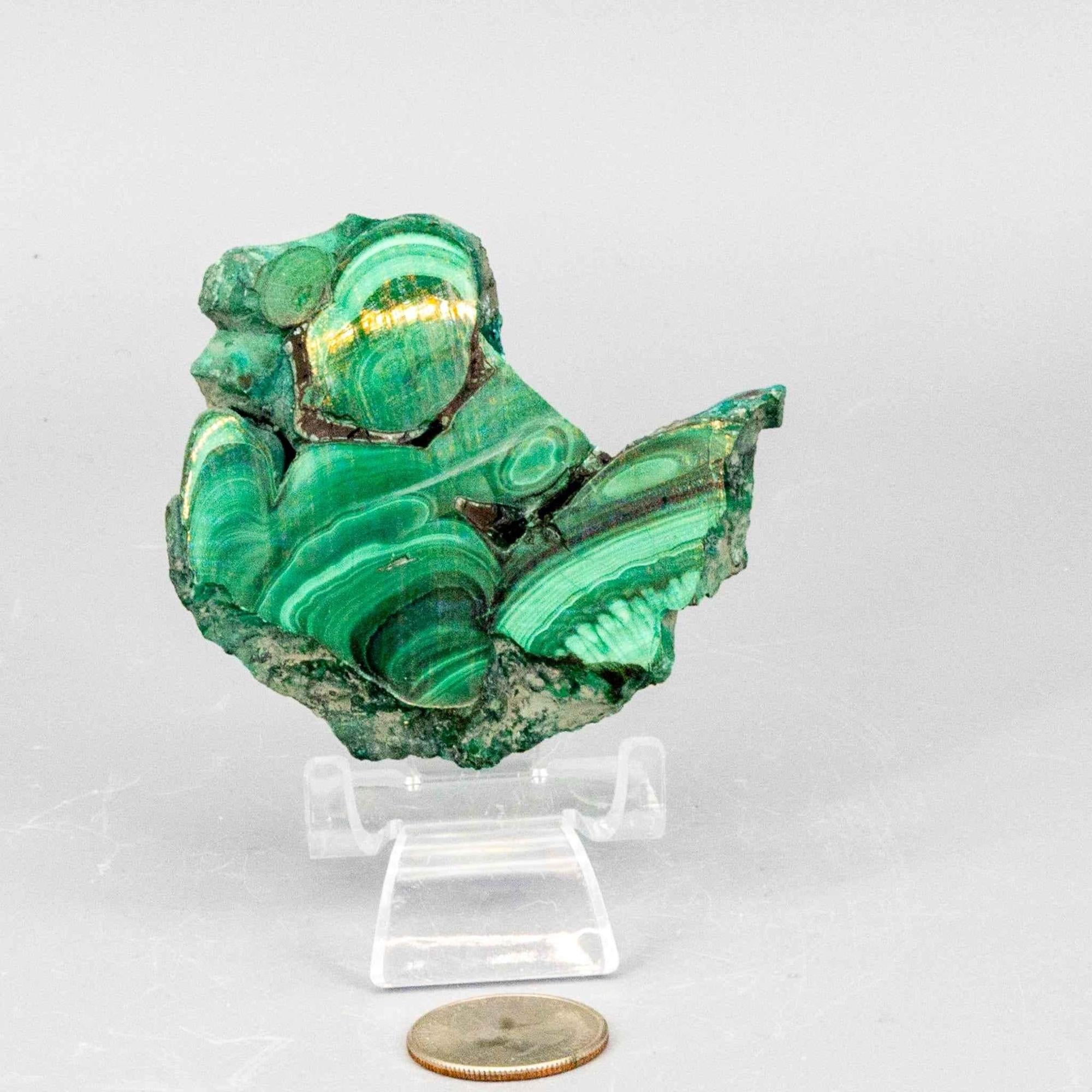 Malachite Slices, Polished Healing Stone Crystal Destiny