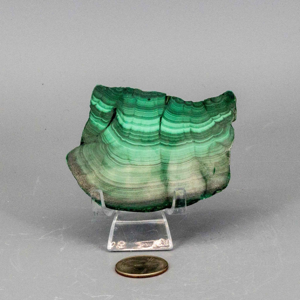 Malachite Slices, Polished Healing Stone Crystal Destiny