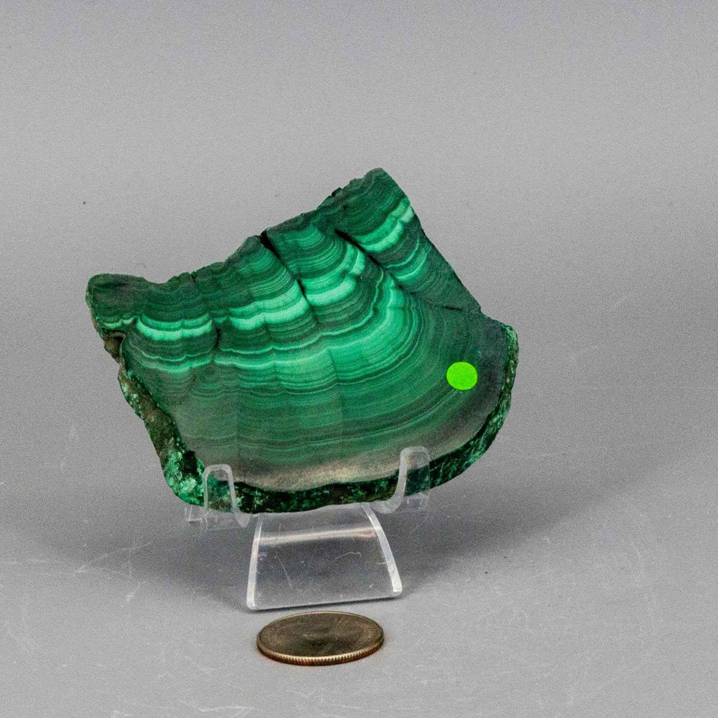 Malachite Slices, Polished Healing Stone Crystal Destiny
