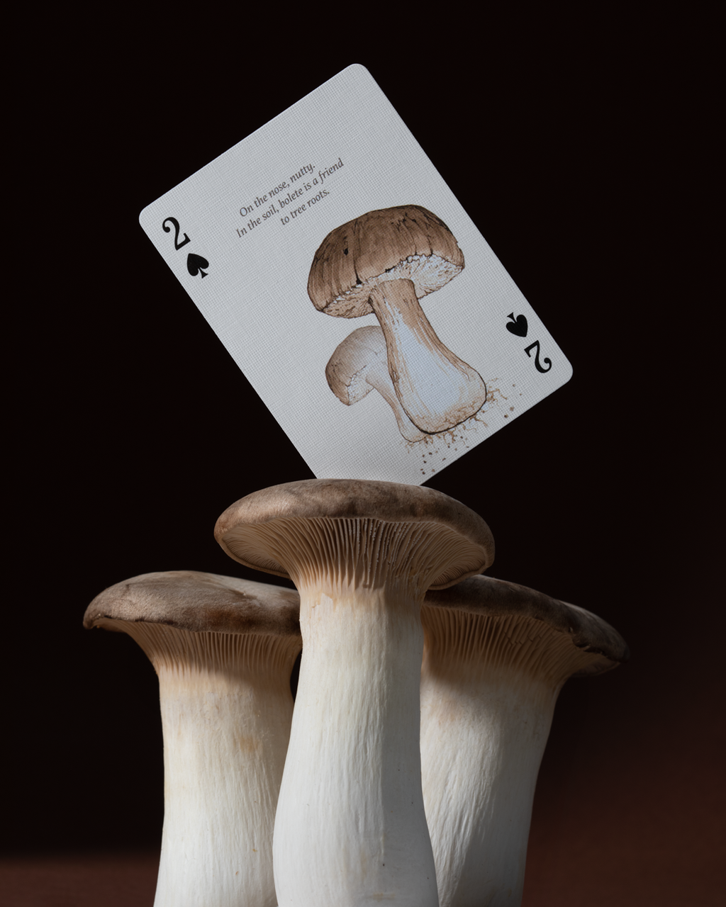 Eastern Forest Playing Cards Art of Play