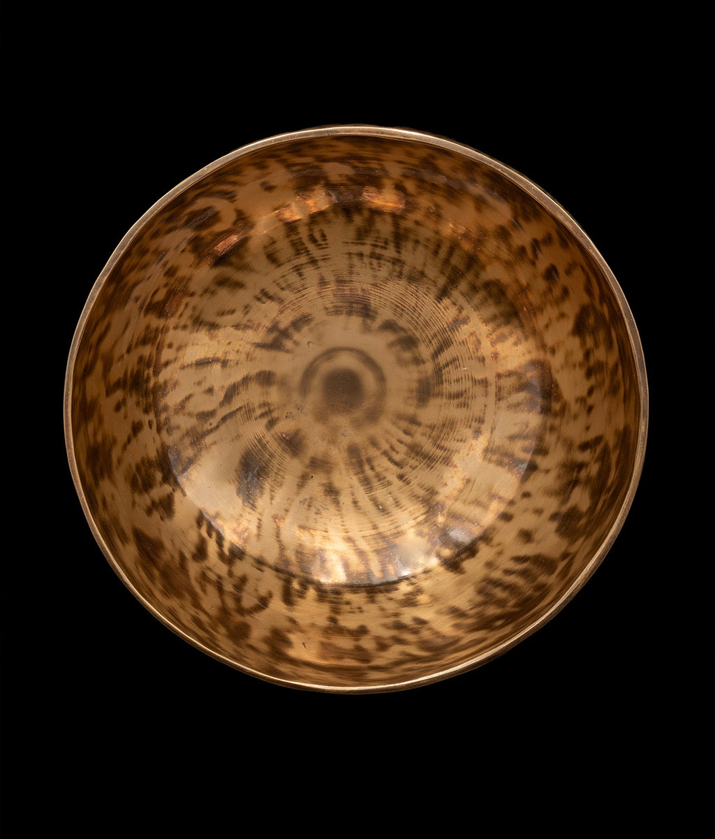 New Thadobati Singing Bowl G# 202Hz 8" N15989 Bodhisattva Trading Company