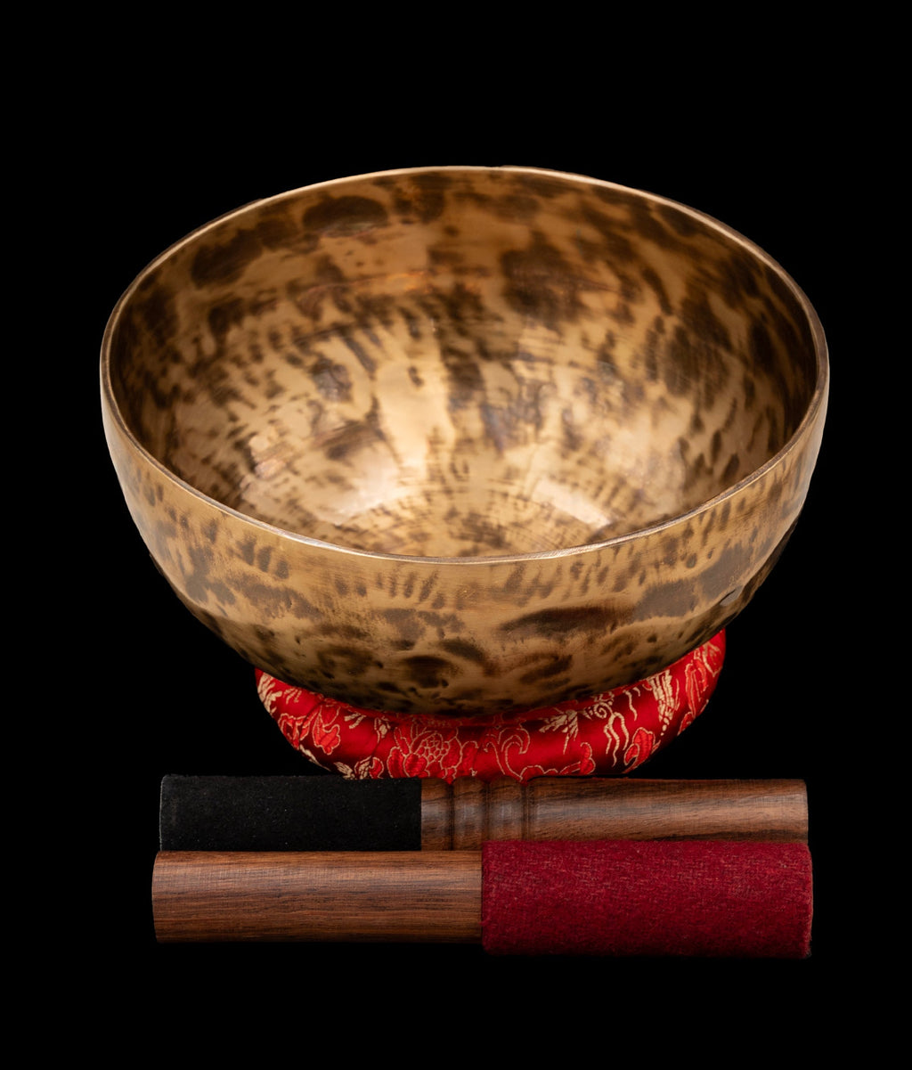New Thadobati Singing Bowl G# 202Hz 8" N15989 Bodhisattva Trading Company