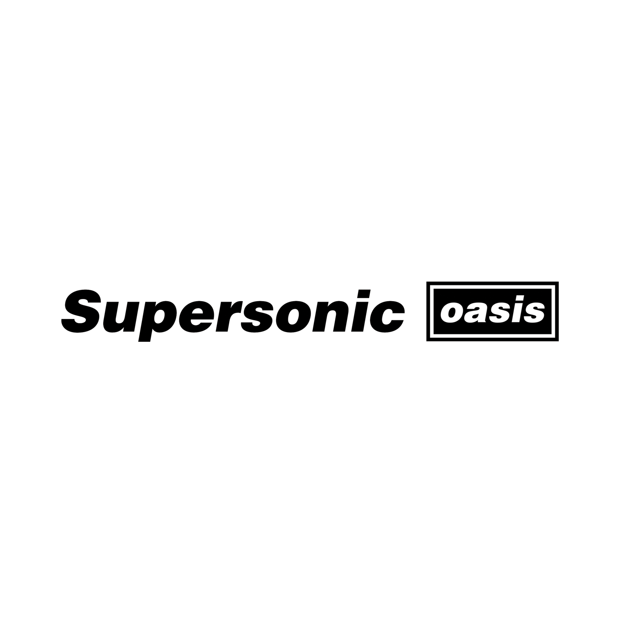 "Supersonic" Magnetic Grill Pluginz Keychains