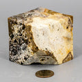Ocean Jasper Cut Corner Cube | 534g 2.5" Crystal Crystal Destiny