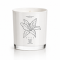 AN OPEN CANDLE Predominantly Black