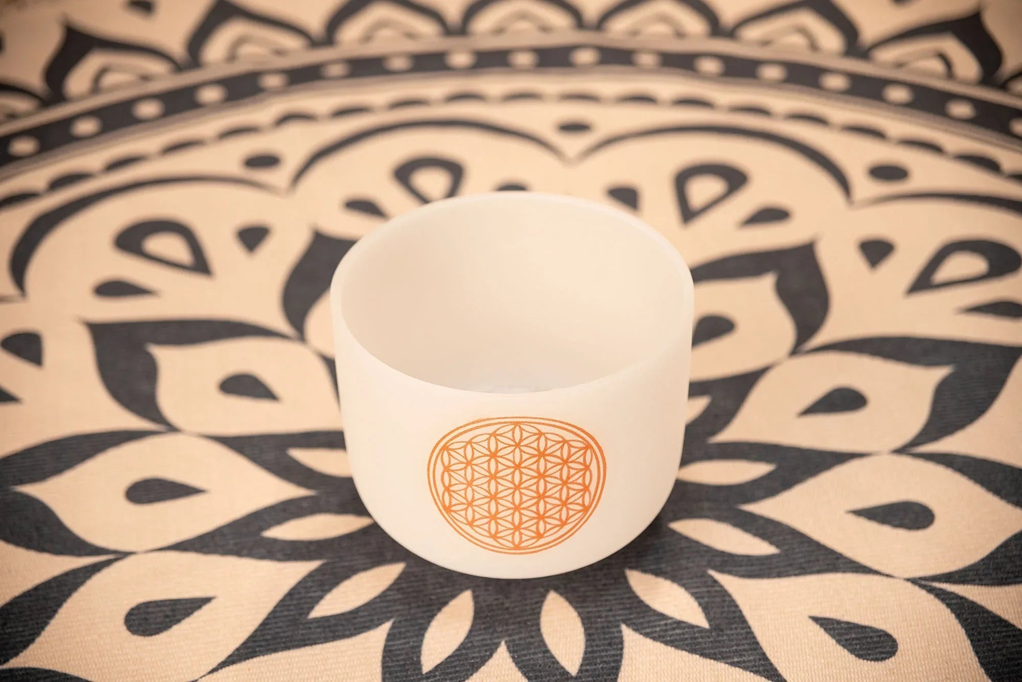 8" White-Frosted Crystal Singing Bowl, Flower of Life 128 Hz Utah Energy Healing Center