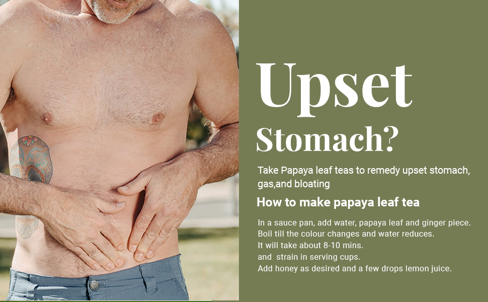 Akshit Papaya Leaves, Hojas de papaya, 2.6oz, Dried Papaya Leaf, Herbal Tea, Non GMO, Caffeine free, Sugar free, Rich In Vitamins. Akshit