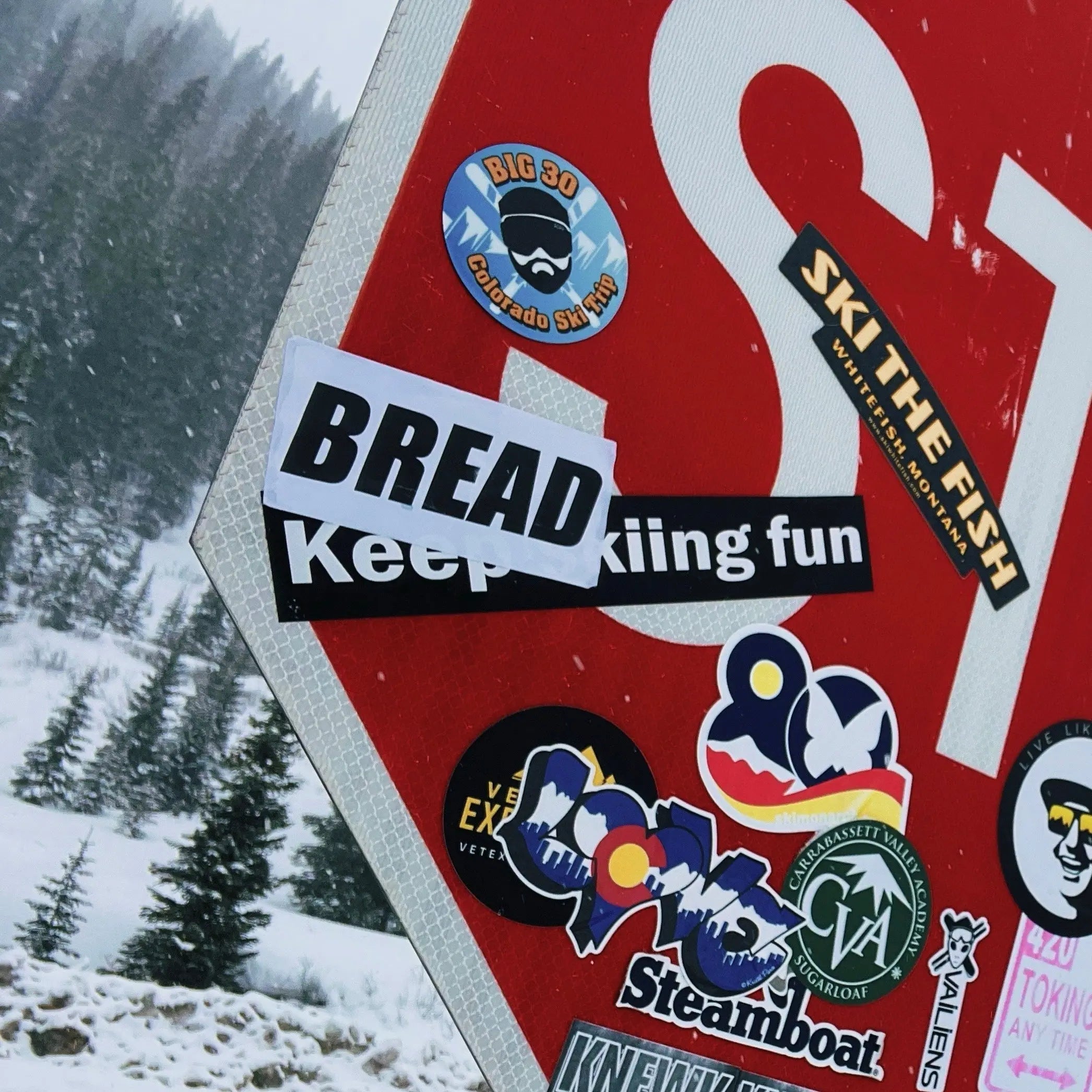 Premium Bread Sticker Bread