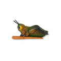 3" Painted Wooden Musical Cricket Percussion Instrument Music Frog Co