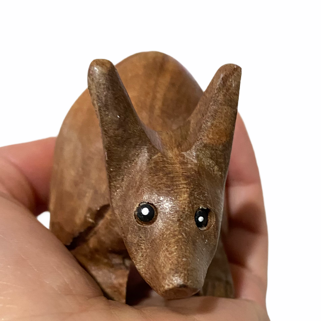 Wooden Musical Armadillo Whistle  Instrument Music Frog Co