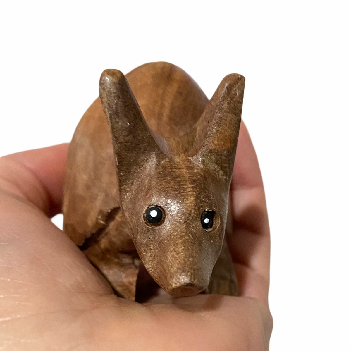 Wooden Musical Armadillo Whistle  Instrument Music Frog Co