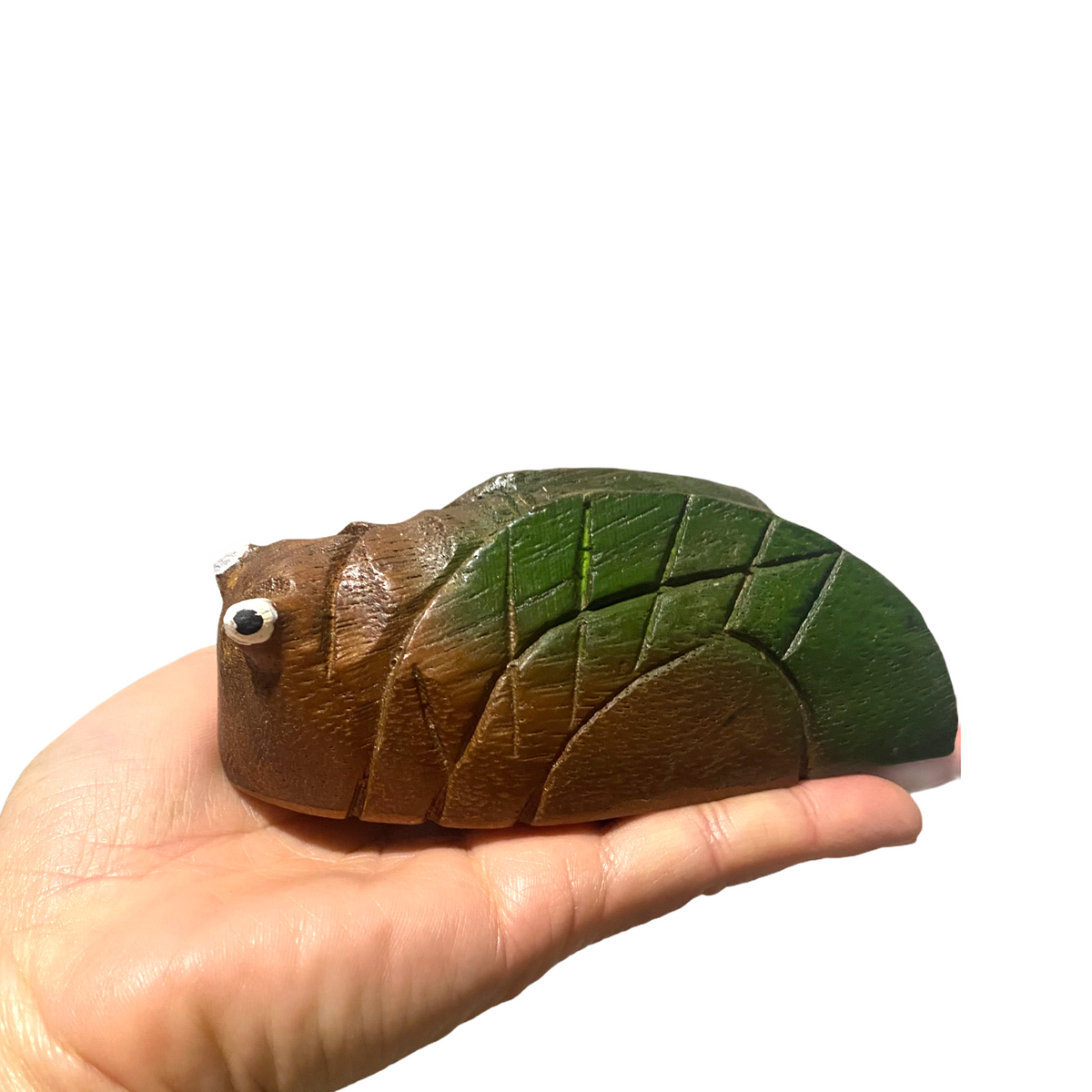 Painted Wooden Musical Cicada Maraca Percussion Instrument Music Frog Co
