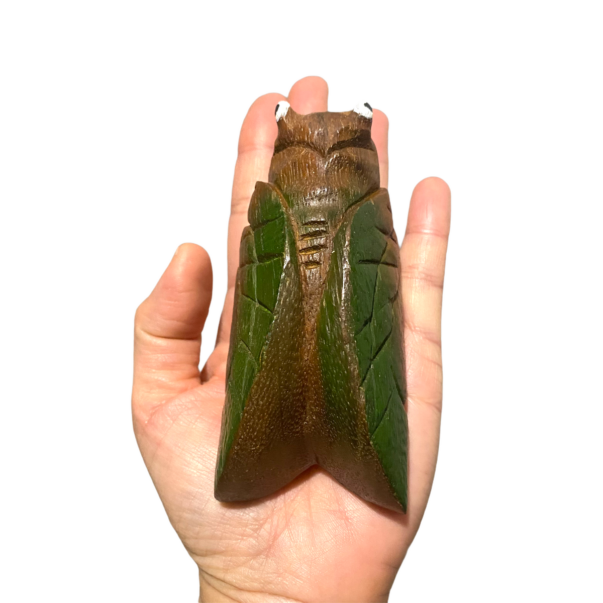Painted Wooden Musical Cicada Maraca Percussion Instrument Music Frog Co
