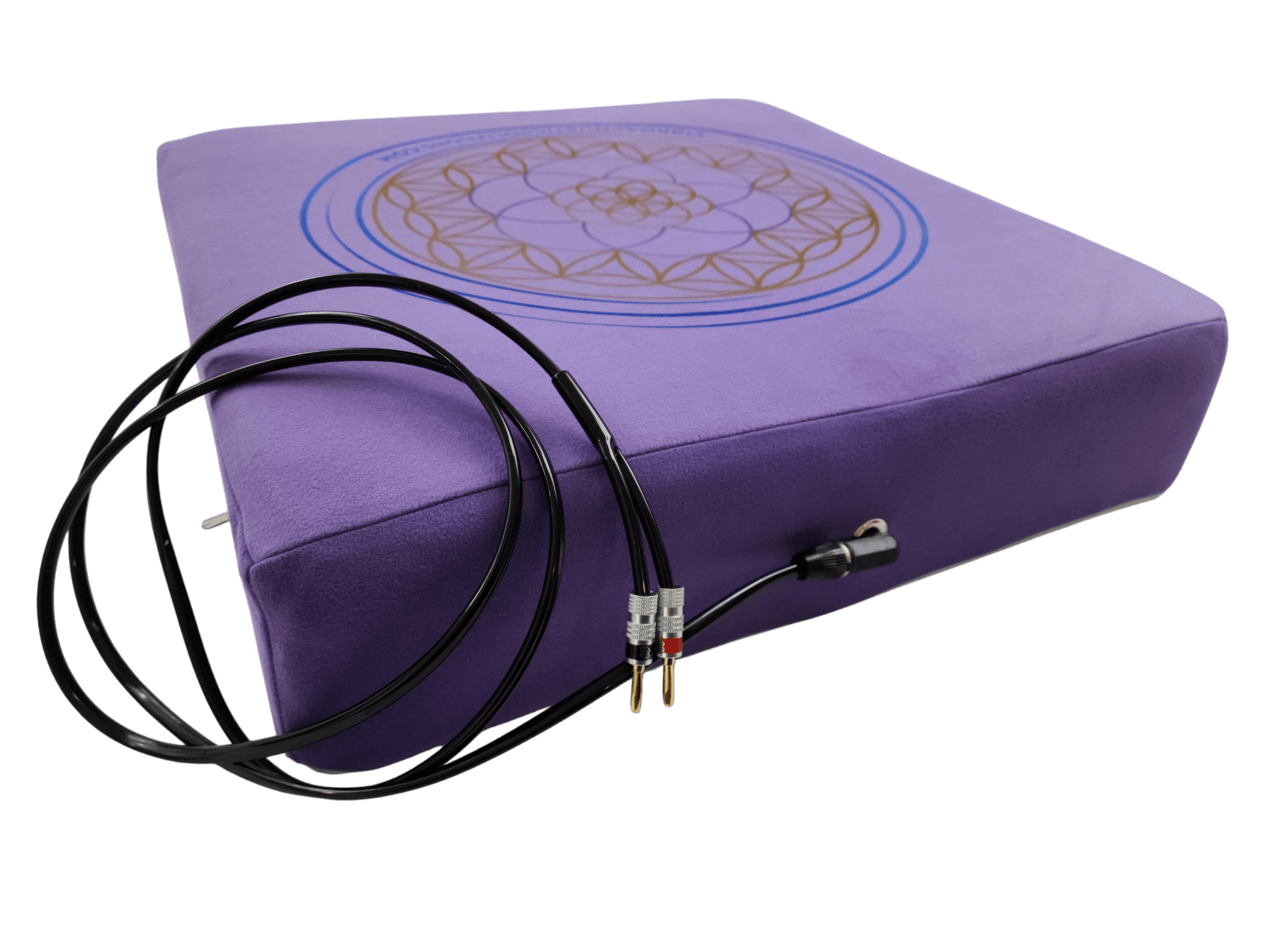 Vibroacoustic Therapy Meditation Cushion bundle with custom amplifier Vibroacoustic Solutions